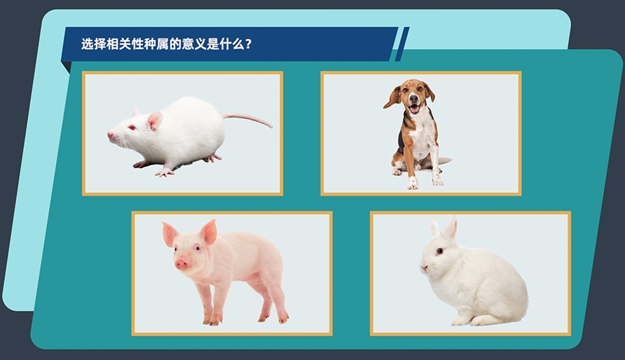 ѡ�������������������ʲô