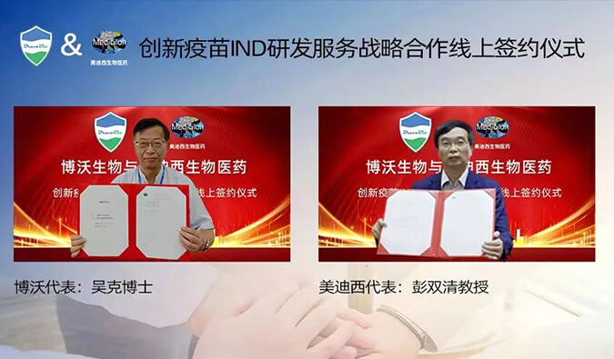 ʱ벩濢INDзЧս