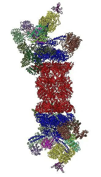 26SѰøṹȪԴWikipedia.jpg