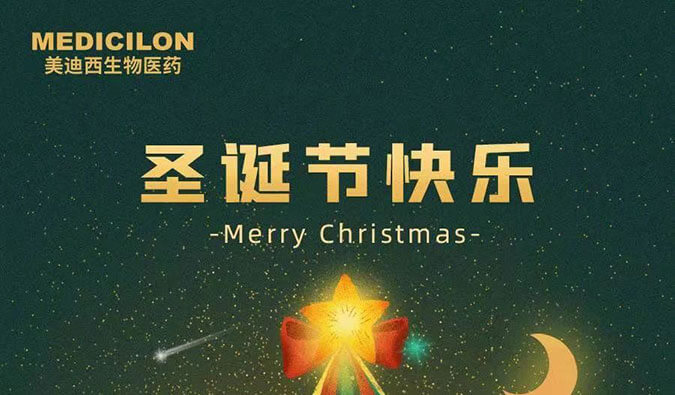 Merry Christmasʱףʥڿ֣