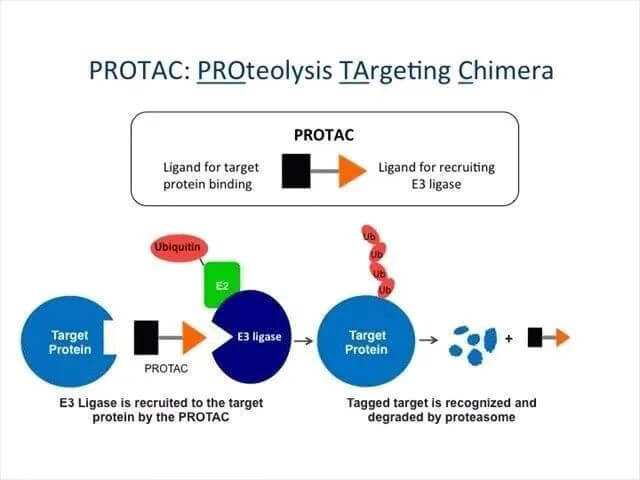 ѰʽǶ-PROTAC.jpg