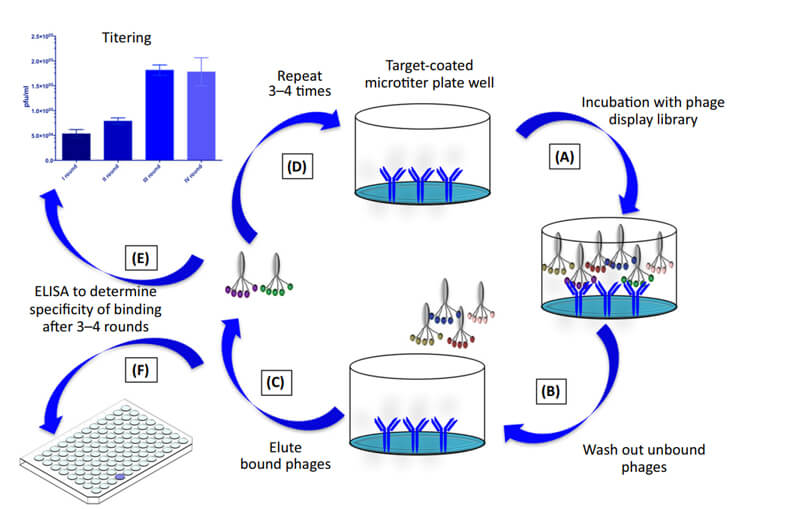 ÊɾúÌåչʾÊÖÒÕ.jpg ÊɾúÌåչʾÊÖÒÕ.jpg