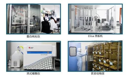 ×ðÁú¿Ê±¿¹Ì忪·¢Æ½Ì¨.jpg ×ðÁú¿Ê±¿¹Ì忪·¢Æ½Ì¨.jpg