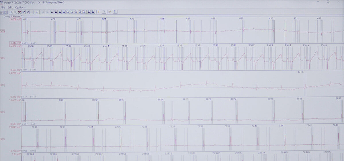 ×ðÁú¿Ê± SEND Êý¾Ýת»»Æ½Ì¨ ×ðÁú¿Ê± SEND Êý¾Ýת»»Æ½Ì¨