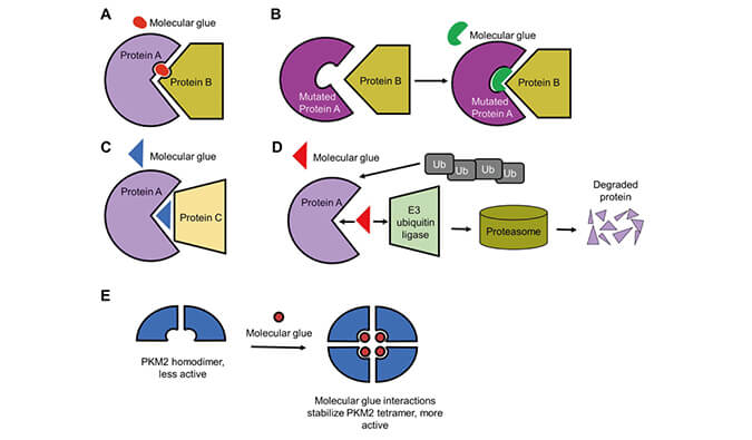 �����Ѱ׽���ϵ�У����������ӽ�����ս���ɳ�ҩ