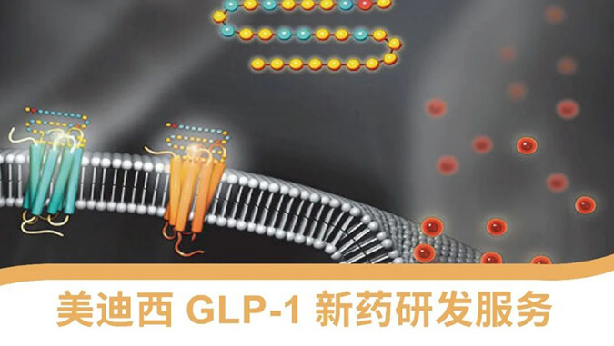 GLP-1ҩҩտ