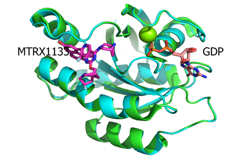 KRAS-G12D-RTX1133-ᾧMRTX11337RPZPDBĽṹ.png