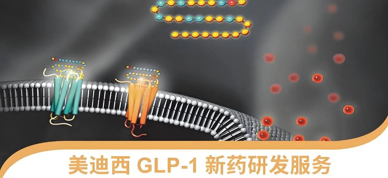 70.5%ĳĳ֣ίGLP-1ҩͻΧ
