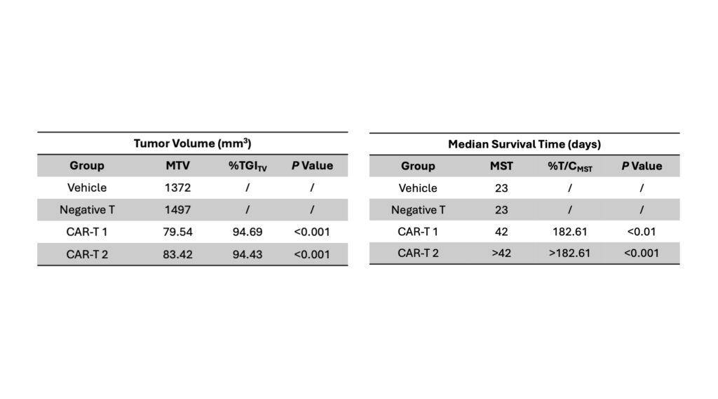 ¶à·¢ÐÔ¹ÇËèÁöÒìÖÖÒÆÖ²ÖеÄCAR-TÖÎÁÆ-1.jpeg ¶à·¢ÐÔ¹ÇËèÁöÒìÖÖÒÆÖ²ÖеÄCAR-TÖÎÁÆ-1.jpeg