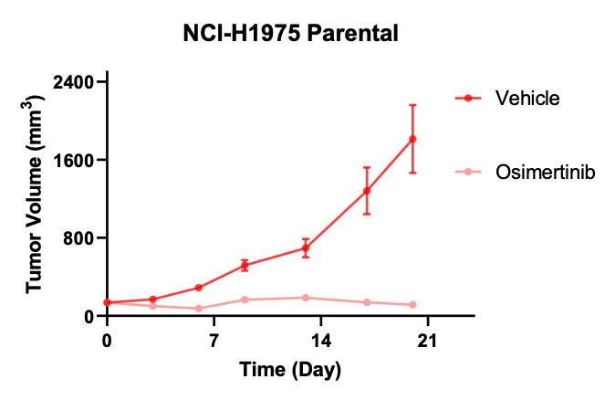 NCI-H1975°ÂÏ£ÌæÄáÄÍÒ©NSCLCÄ£×Ó-ÌåÄÚҩЧɸѡ-1.png NCI-H1975°ÂÏ£ÌæÄáÄÍÒ©NSCLCÄ£×Ó-ÌåÄÚҩЧɸѡ-1.png