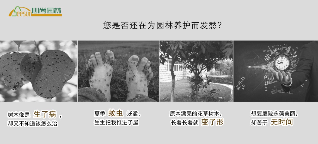 亲友游戏中心-亲友多乐斗-亲友天天坦克大战