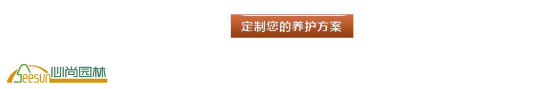 亲友游戏中心-亲友多乐斗-亲友天天坦克大战