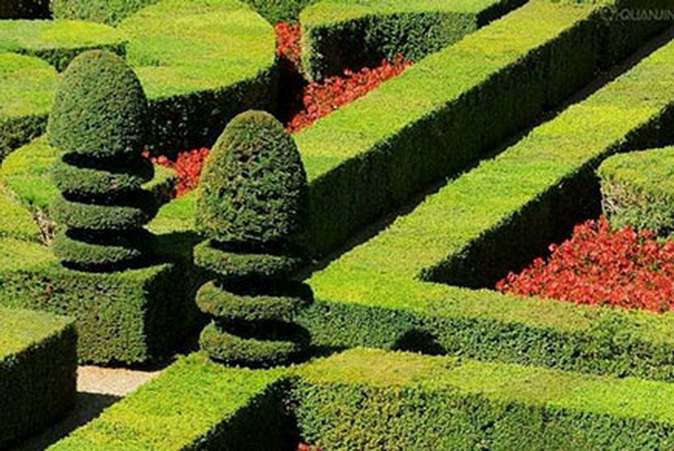 亲友游戏中心-亲友多乐斗-亲友天天坦克大战