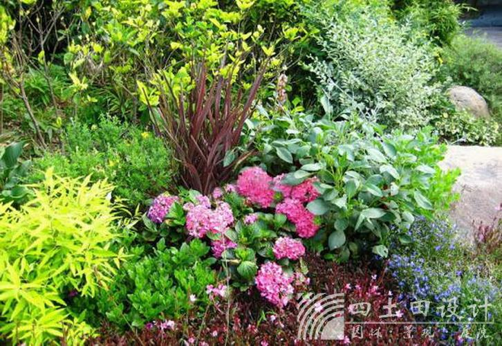 亲友游戏中心-亲友多乐斗-亲友天天坦克大战