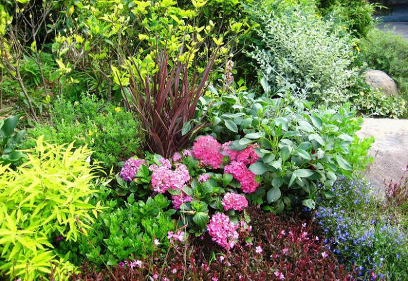 亲友游戏中心-亲友多乐斗-亲友天天坦克大战