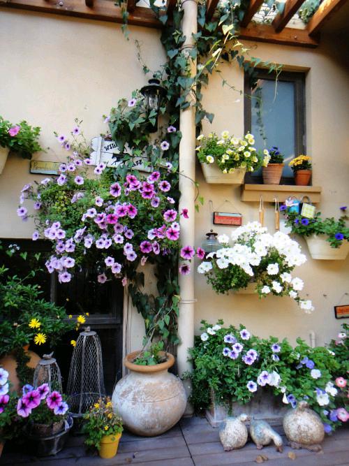 亲友游戏中心-亲友多乐斗-亲友天天坦克大战